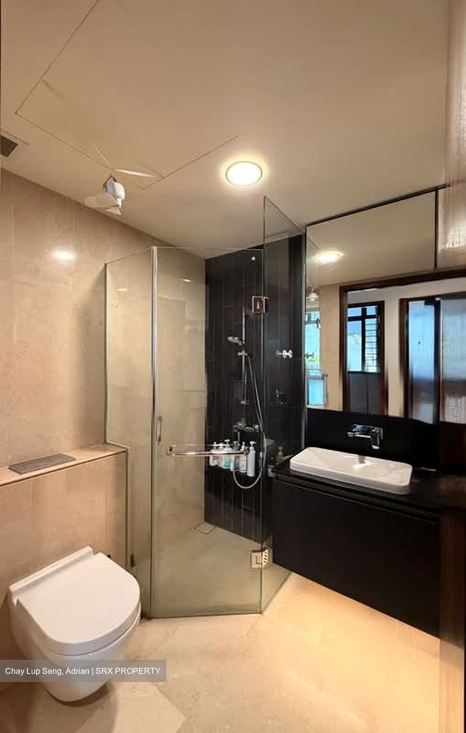 Dunearn 386 (D11), Apartment #536093521